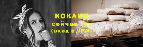 эйфоретик Инсар