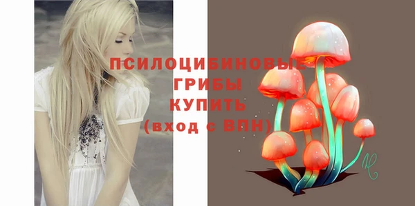 эйфоретик Инсар