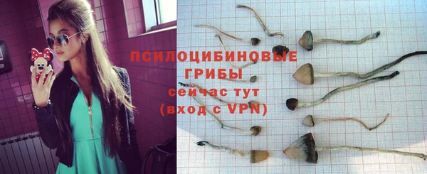 альфа пвп Инта