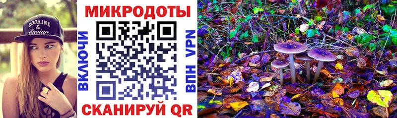 Псилоцибиновые грибы Cubensis Суворов